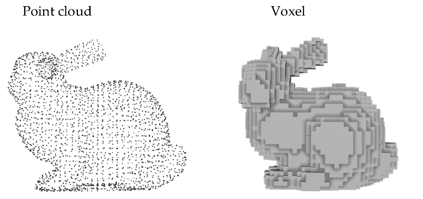 Point Cloud와 Voxel 비교